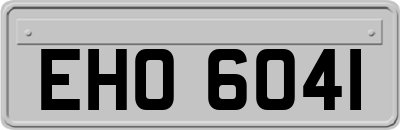 EHO6041