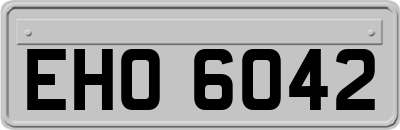 EHO6042