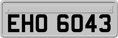 EHO6043