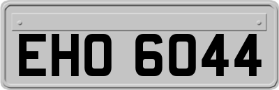 EHO6044