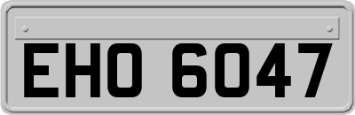 EHO6047
