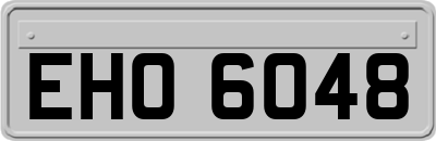 EHO6048