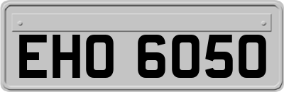 EHO6050