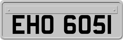 EHO6051