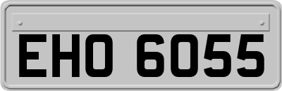 EHO6055