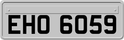 EHO6059