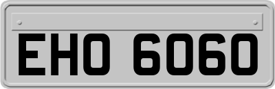 EHO6060