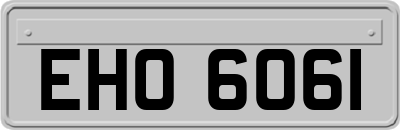 EHO6061