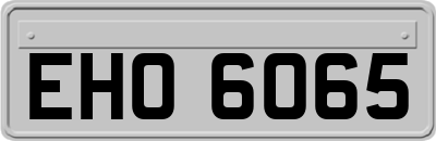 EHO6065
