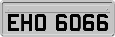 EHO6066