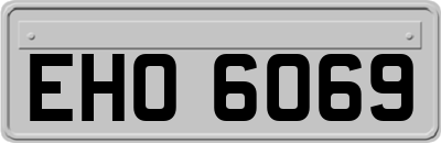EHO6069