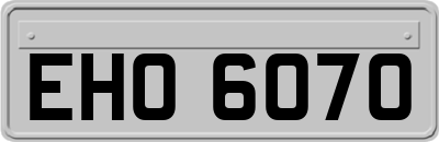 EHO6070