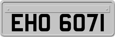 EHO6071