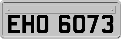 EHO6073