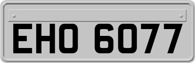 EHO6077