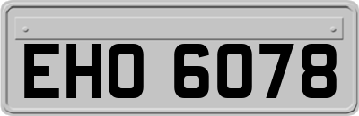 EHO6078