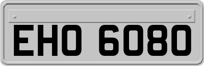 EHO6080