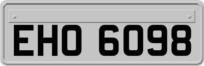 EHO6098