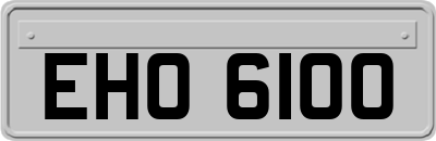 EHO6100
