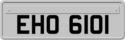 EHO6101