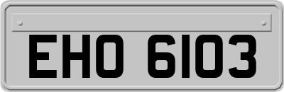 EHO6103