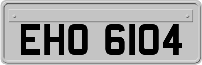 EHO6104