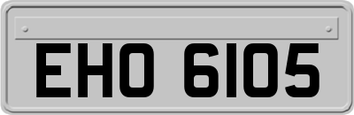 EHO6105