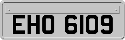 EHO6109