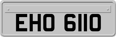 EHO6110