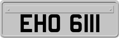 EHO6111