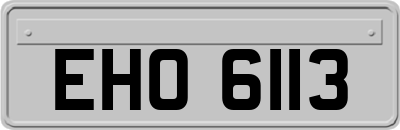 EHO6113