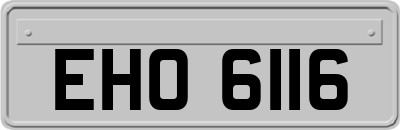 EHO6116