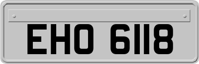 EHO6118