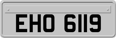 EHO6119