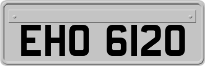 EHO6120