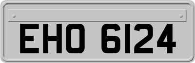 EHO6124