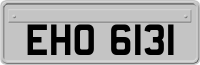 EHO6131