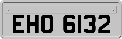 EHO6132