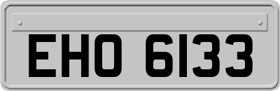 EHO6133