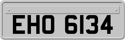 EHO6134