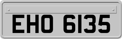 EHO6135