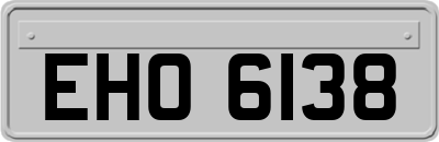EHO6138