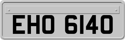 EHO6140
