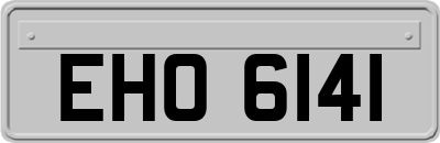 EHO6141