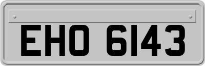 EHO6143