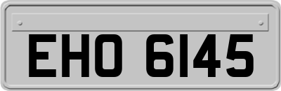 EHO6145