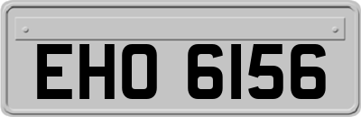 EHO6156