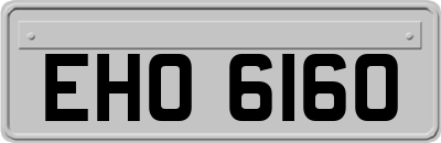 EHO6160