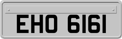 EHO6161