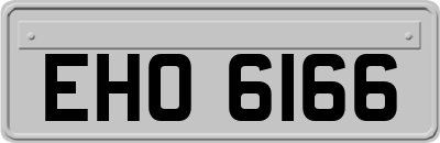 EHO6166